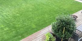 Gardening and Landscaping