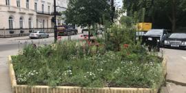 Heritage Garden Display