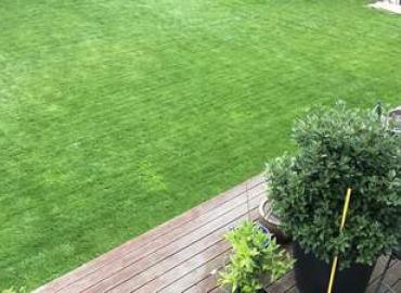 Gardening and Landscaping