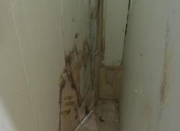 Landlords & Rentals