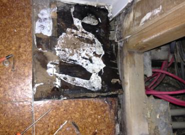 Landlords & Rentals