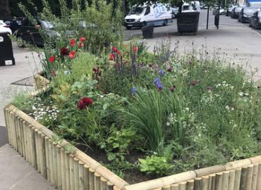 Heritage Garden Display