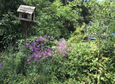 Gardening and Landscaping