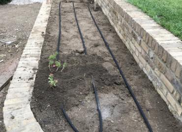 Gardening and Landscaping