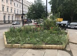 Heritage Garden Display